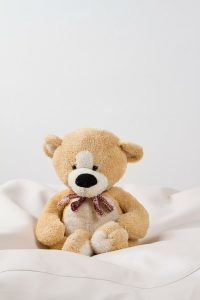 teddy-164932_1280