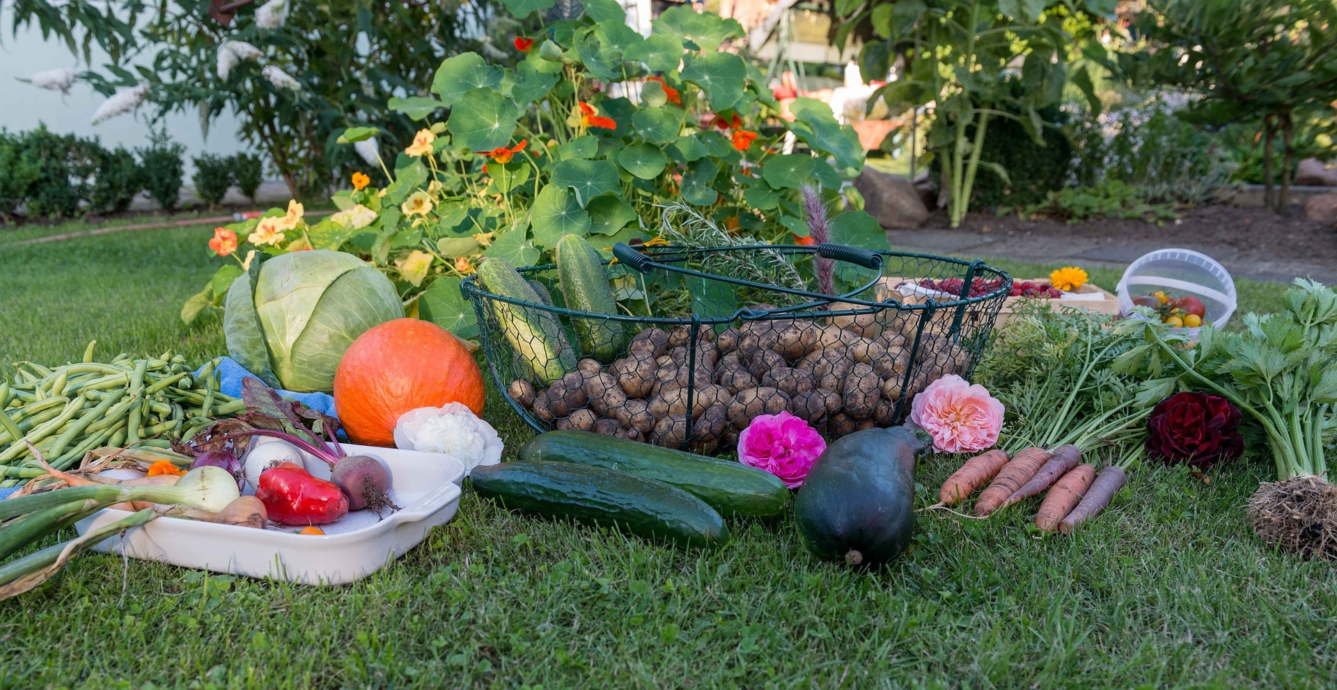 Comment faire son propre potager ?