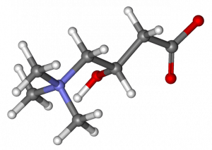 lcarnitine et acide aminé