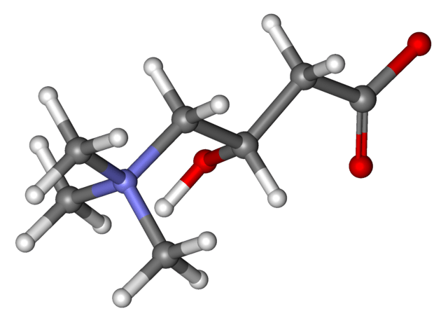 lcarnitine et acide aminé